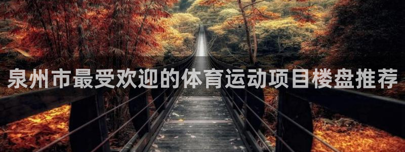光速体育直播免费观看nba