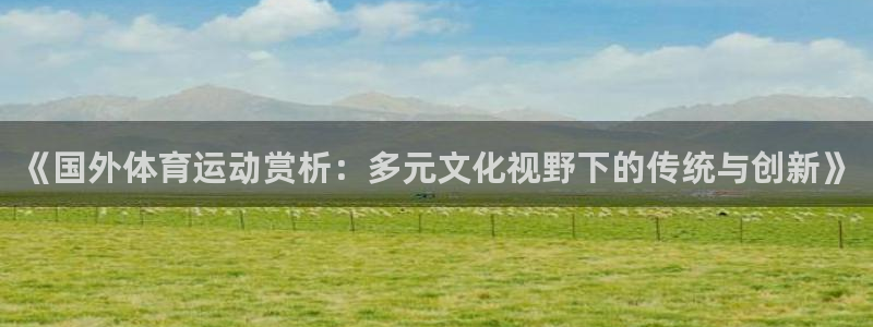 光速体育直播高清免费观看